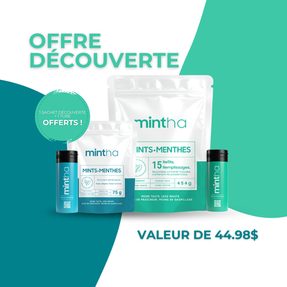 Menthe verte| Offre découverte